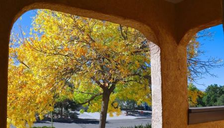 42754149_10214946520650659_7339609486887223296_n